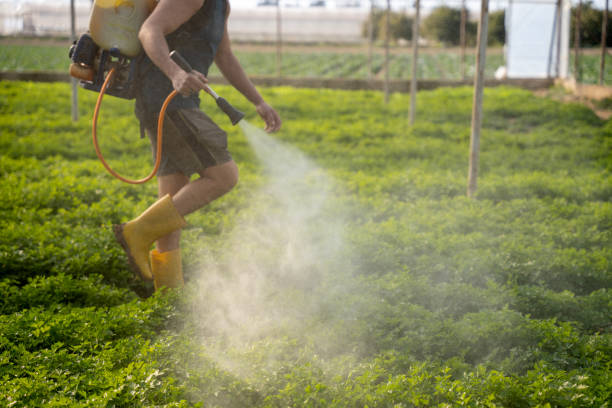 Best Local Pest Control Services  in Milledgeville, GA