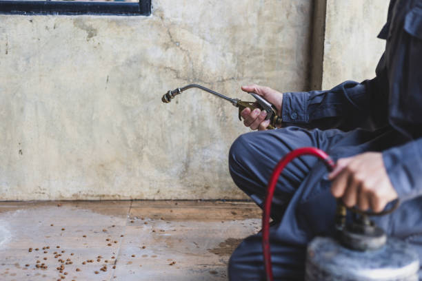 Professional Pest Control in Milledgeville, GA